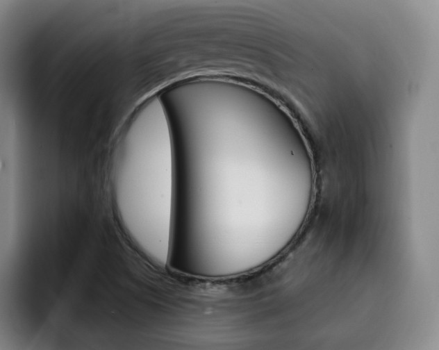 X0000093091505200709260859