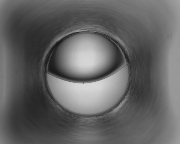 X0000093091506200709260859