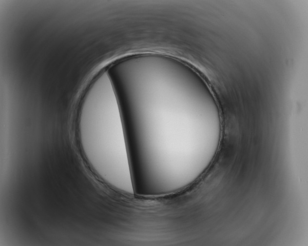 X0000093091507200709260859