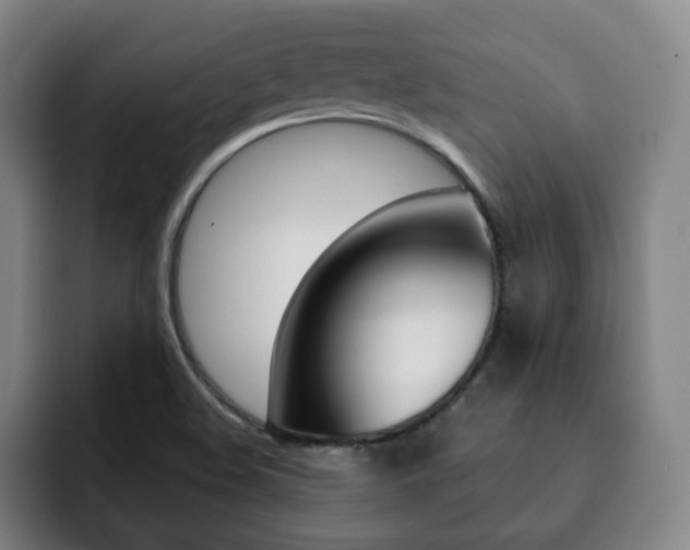 X0000093091508200709260859