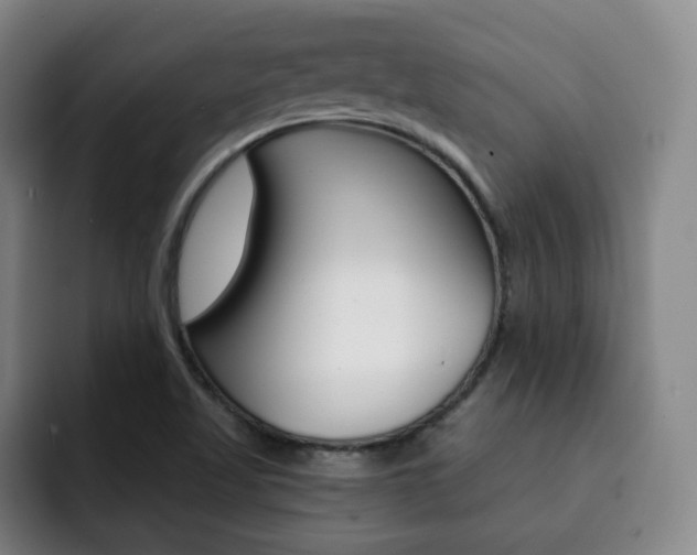 X0000093091509200709260859