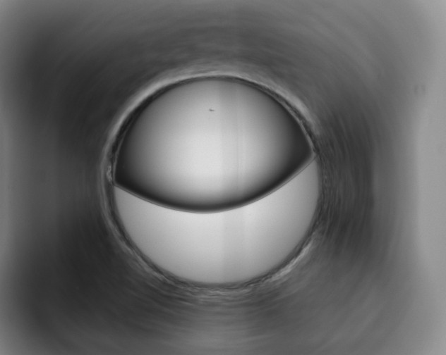 X0000093091510200709260859