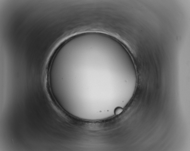 X0000093091511200709260859