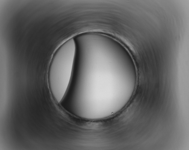 X0000093091513200709260859