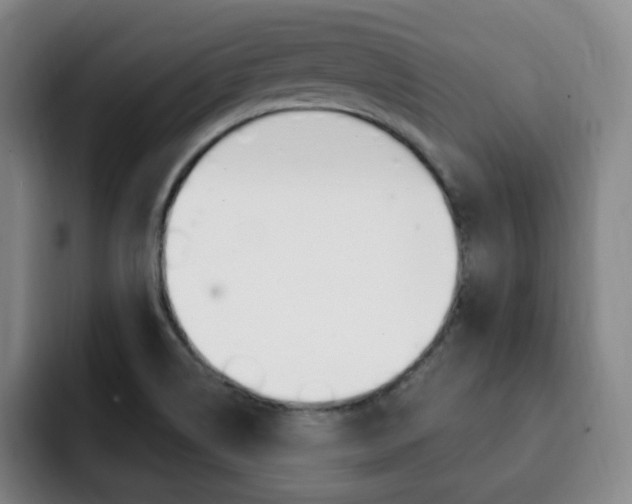 X0000093091514200709260859