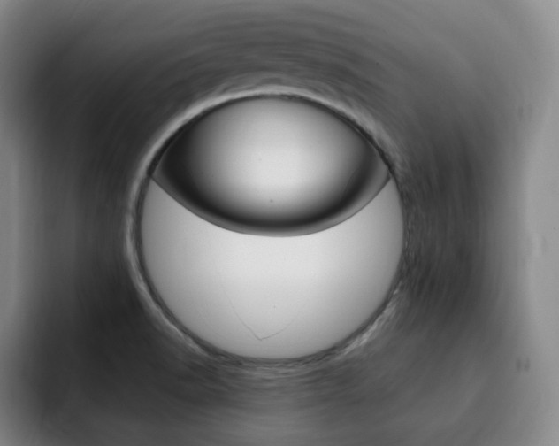X0000093091518200709260859