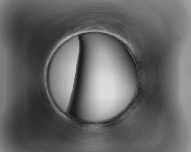 X0000093091519200709260859