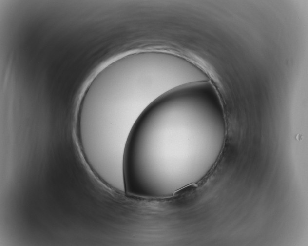 X0000093091520200709260859