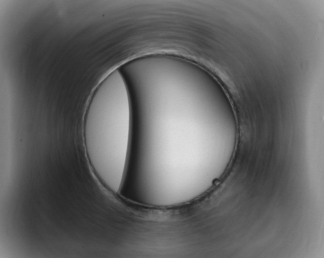 X0000093091521200709260859