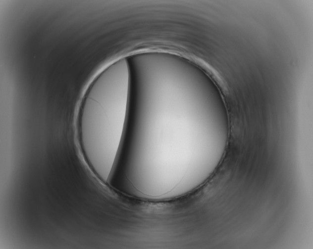 X0000093091522200709260859