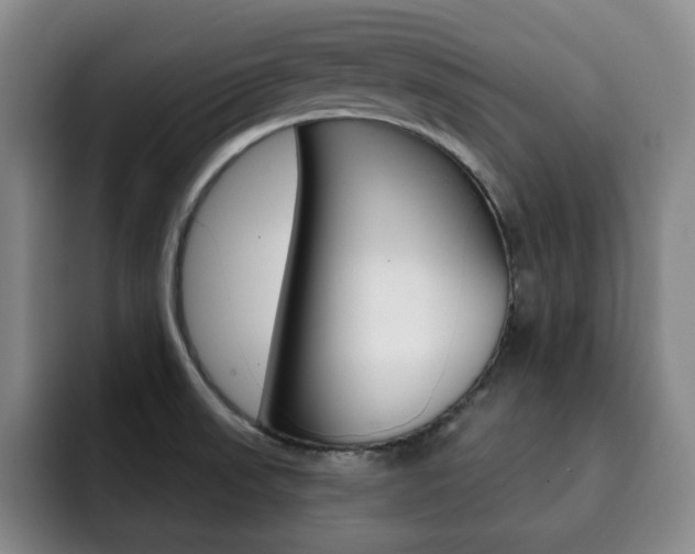 X0000093091523200709260859