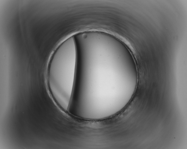 X0000093091525200709260859