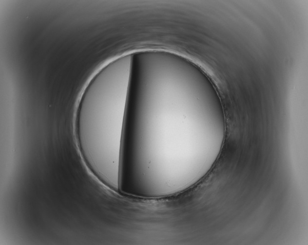 X0000093091527200709260859