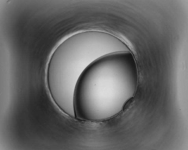 X0000093091528200709260900