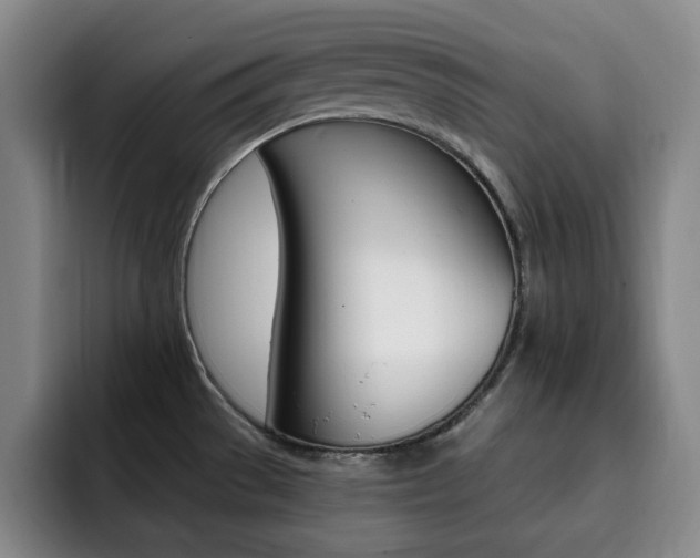 X0000093091529200709260900