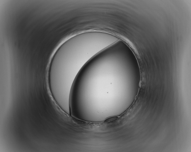 X0000093091530200709260900