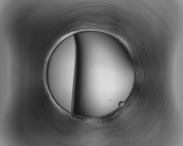 X0000093091531200709260900