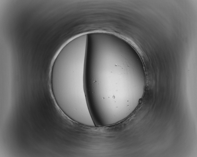 X0000093091532200709260900