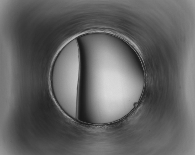 X0000093091533200709260900