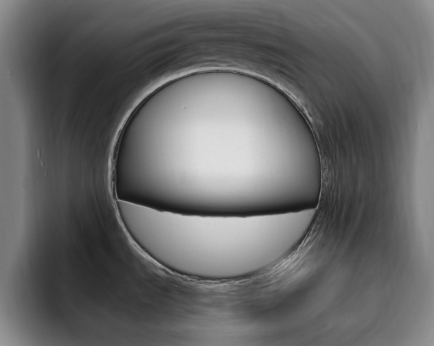 X0000093091535200709260900