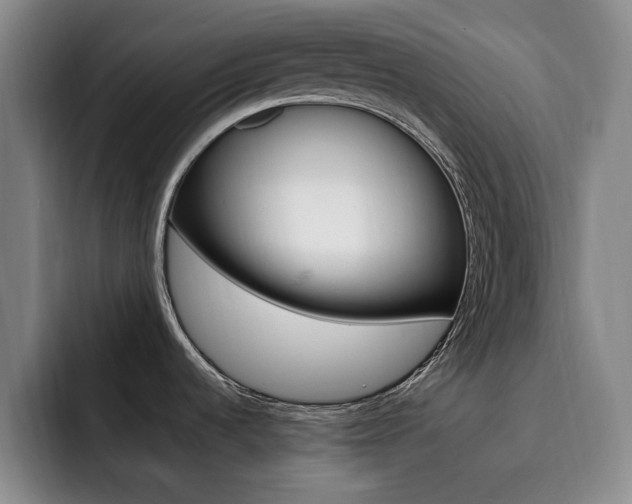 X0000093091536200709260900