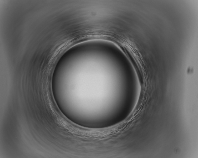 X0000093090001200709261239