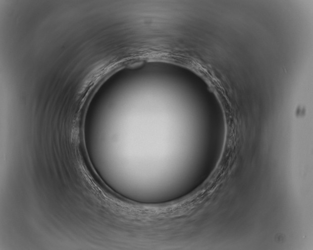 X0000093090002200709261239