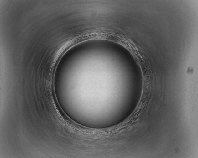 X0000093090003200709261239