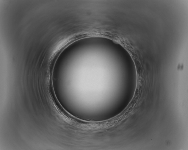 X0000093090005200709261239
