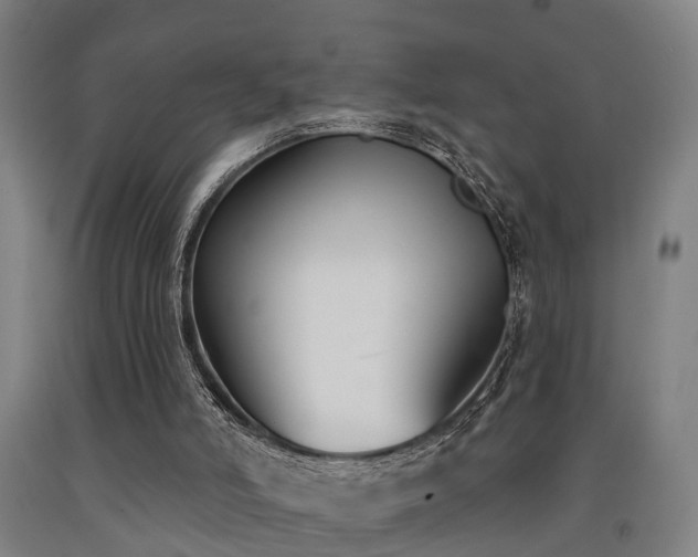 X0000093090006200709261239