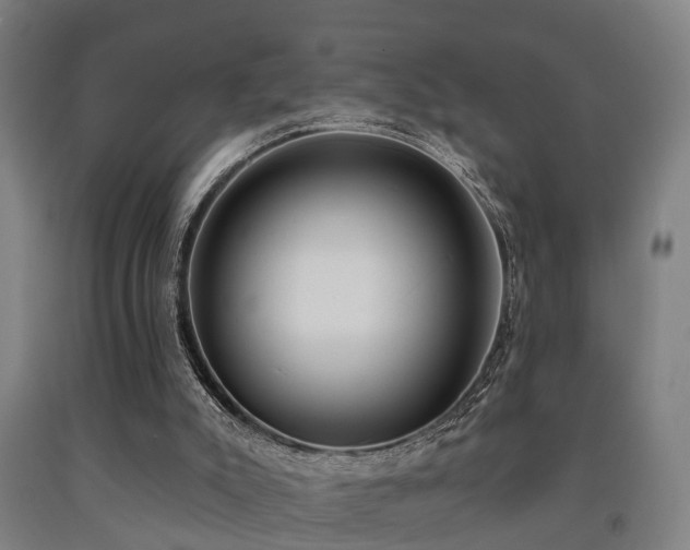 X0000093090007200709261239