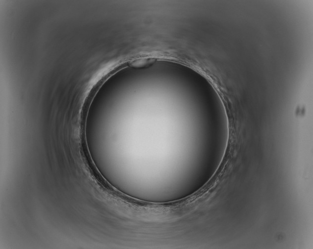 X0000093090008200709261239
