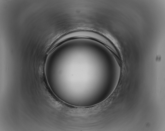 X0000093090009200709261239