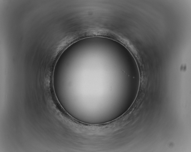 X0000093090010200709261238