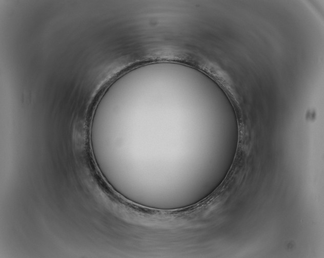 X0000093090012200709261238