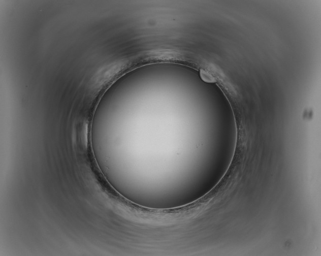 X0000093090014200709261238
