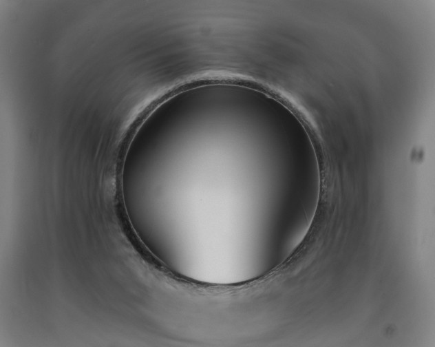 X0000093090015200709261238