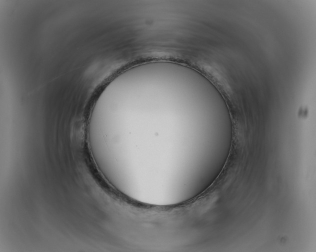 X0000093090016200709261238