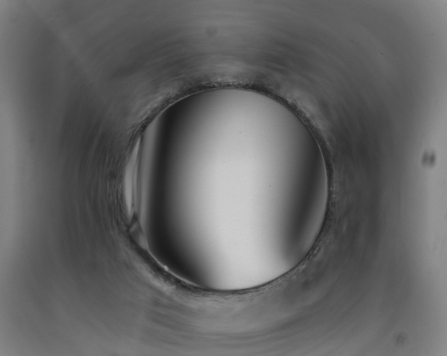 X0000093090017200709261238