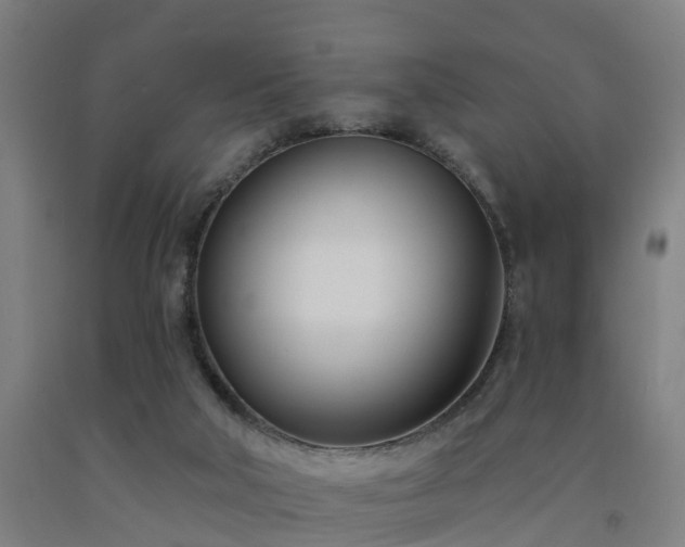 X0000093090018200709261238