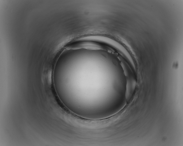 X0000093090019200709261238