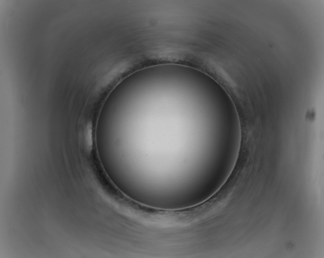 X0000093090020200709261238