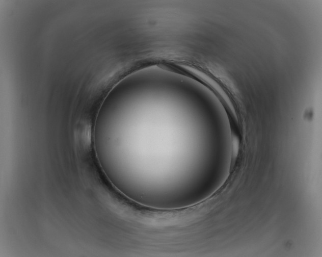 X0000093090021200709261238