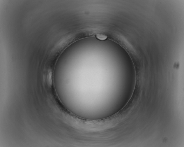 X0000093090022200709261238