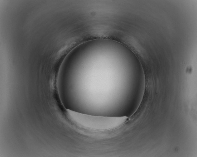 X0000093090023200709261238
