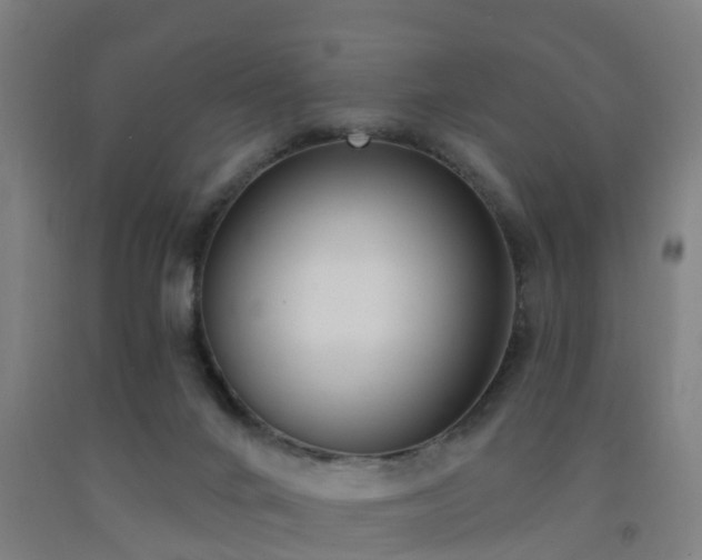 X0000093090024200709261238