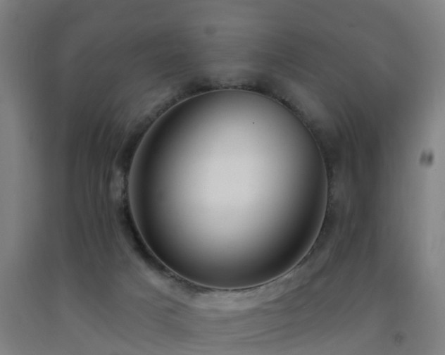 X0000093090025200709261238