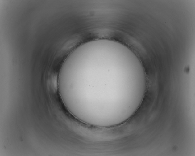 X0000093090028200709261238
