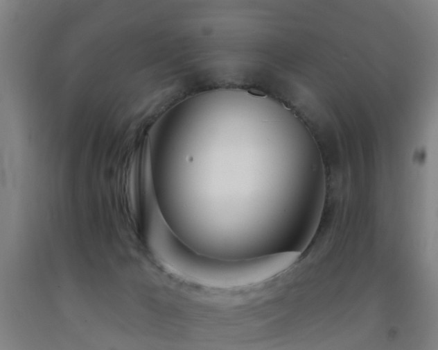 X0000093090029200709261238