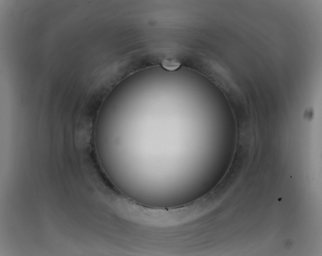 X0000093090030200709261238